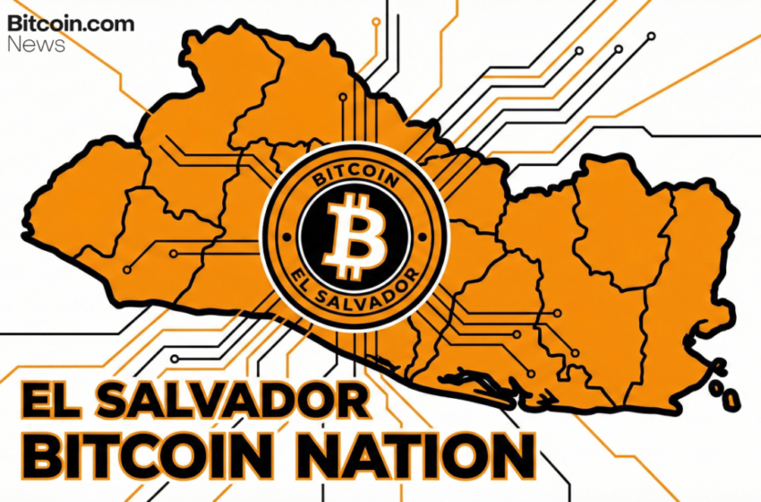  ‘Not A Stock:’ El Salvador Defends Bitcoin Purchases Amid Market Slump