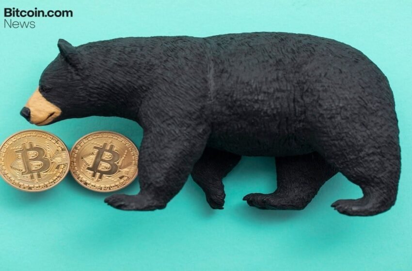  Bear Market Bottom Alerts, Dalio’s CBDC Warning, and More – Week in Review