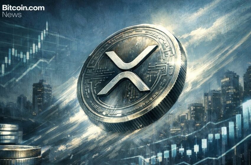  XRP Rebounds as Whale Accumulation and Network Activity Signal Price Reversal
