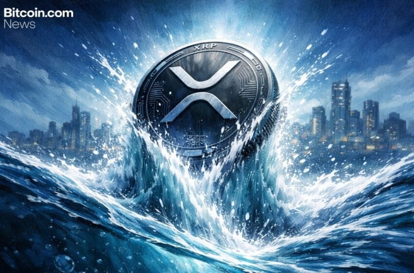  XRP Rebounds From $1.27 Low but Market Fear Still Looms Over Recovery