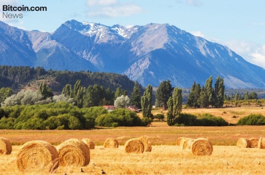  Redotpay Secures Major Regulatory Licenses Across Argentina, Canada, and US