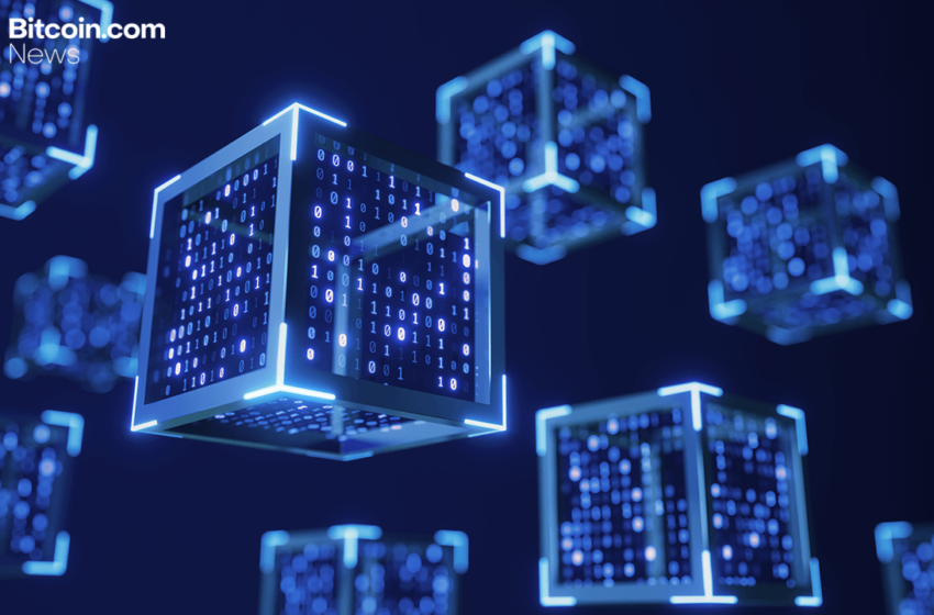  Bitcoin Logs Rare Two-Block Reorg as Mining Pools Clash—Network Shrugs It Off – Crypto News Bitcoin News