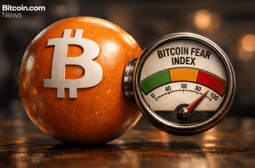  Bitcoin Gets Its Own ‘Fear Gauge’ as Cboe Announces BITVX Index