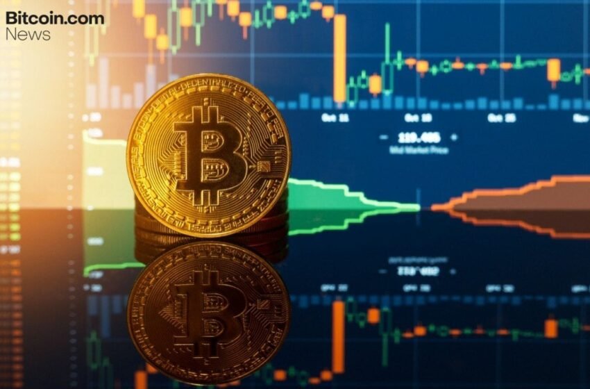  Diamond Hands Win: 85% of Bitcoin Holders Stood Firm Through the February Dip