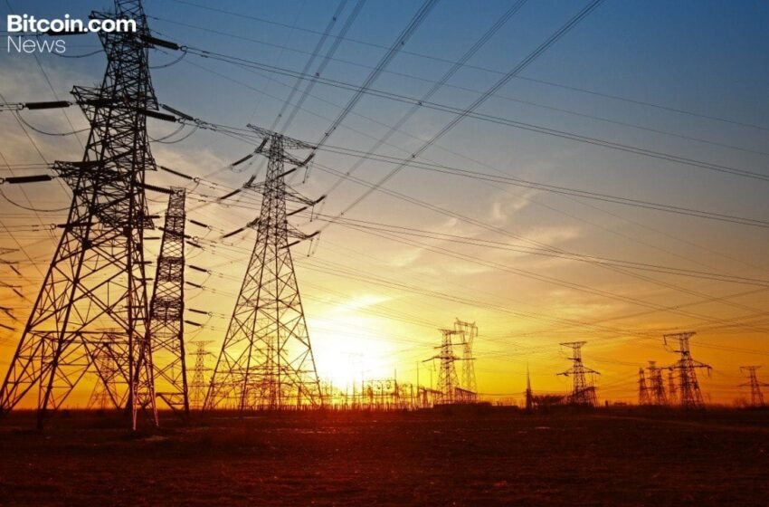  Differently Secured: Bitlease Founder Nima Beni on Why Falling Hashrates Aren’t a Threat