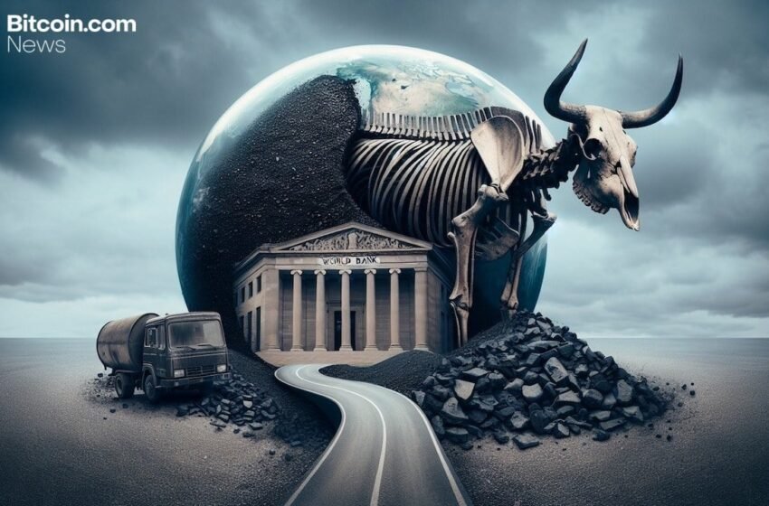  ‘Bull Trap Forming’ – Willy Woo Says Bottom Not In for Bitcoin