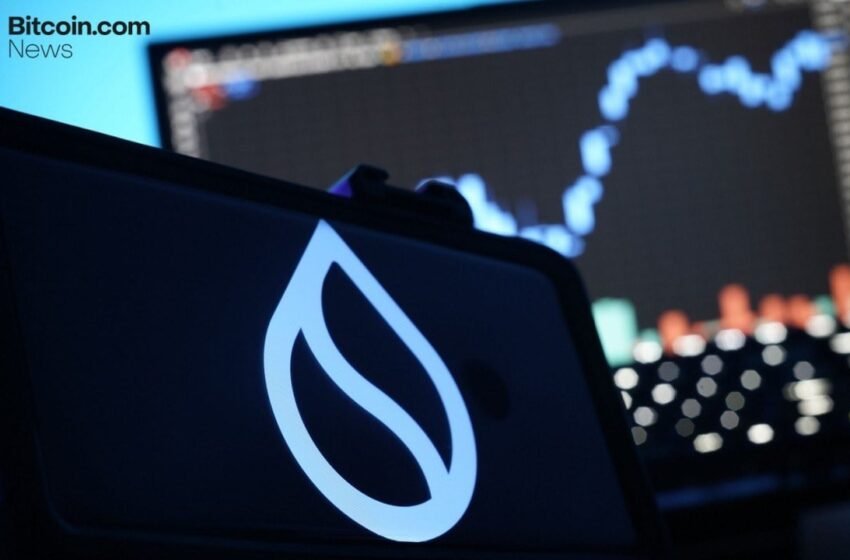  Sui Foundation and Industry Giants Launch Hashi Bitcoin Finance Primitive