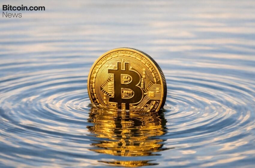  Arthur Hayes Warns Bitcoin May Stall Until Liquidity Returns