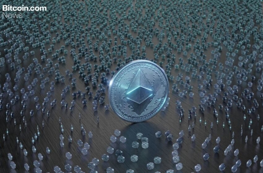  Bitmine Reports $3.8 Billion Quarterly Loss as Ethereum Bet Takes Toll – Crypto News Bitcoin News