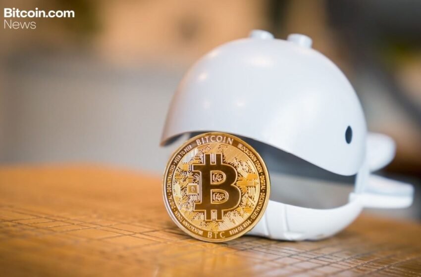  Bitcoin Tests $75,000 as Whales Accumulate 270,000 BTC – Markets and Prices Bitcoin News