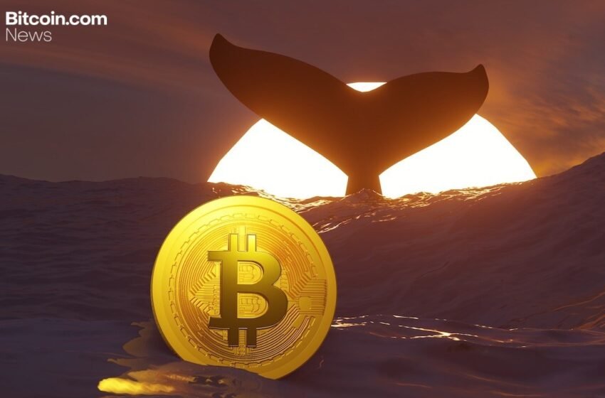  TIm Draper’s $250,000 BTC Call, New Whale Data, and More