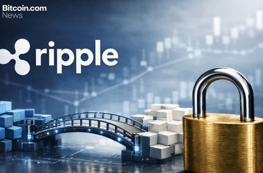  Ripple’s Schwartz Flags DeFi Bridge Trade-Offs After KelpDAO Incident