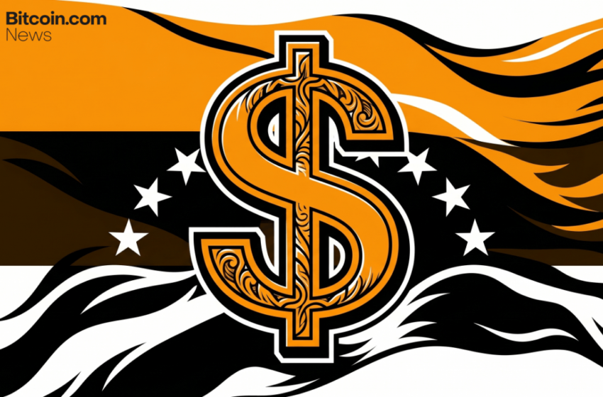 Economist Proposes National USD Stablecoin to Eliminate Currency Controls in Venezuela