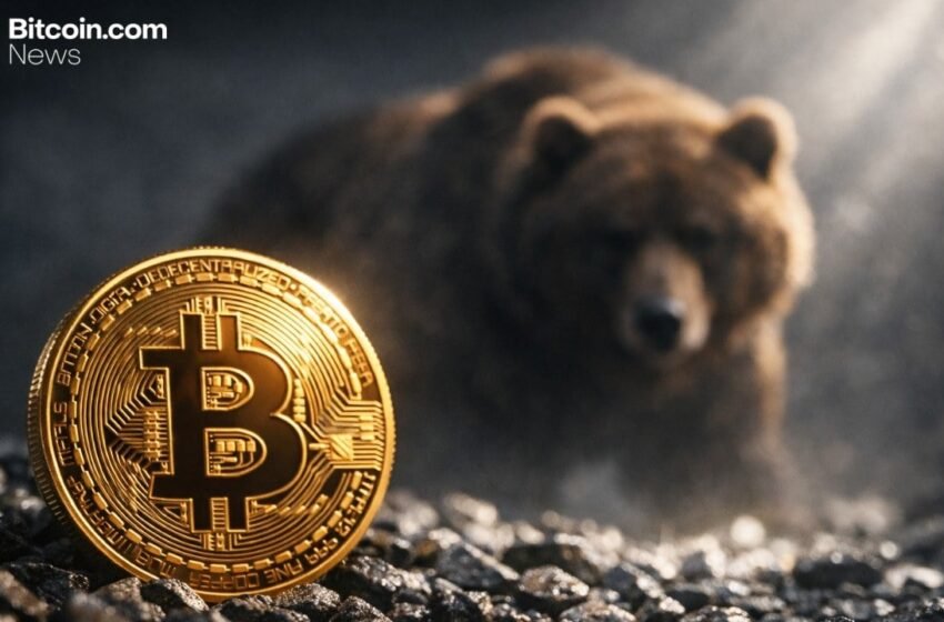  Strategist Sees Bitcoin Bear Signals, Warns Crypto Bust Could Push BTC to $10K – Markets and Prices Bitcoin News