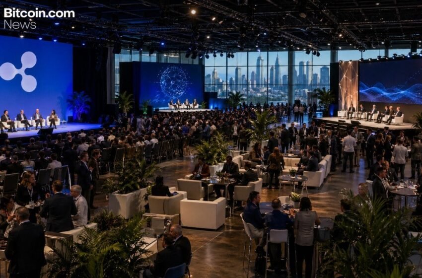  Ripple Prepares for Largest Swell Event Yet With Combined Apex Format