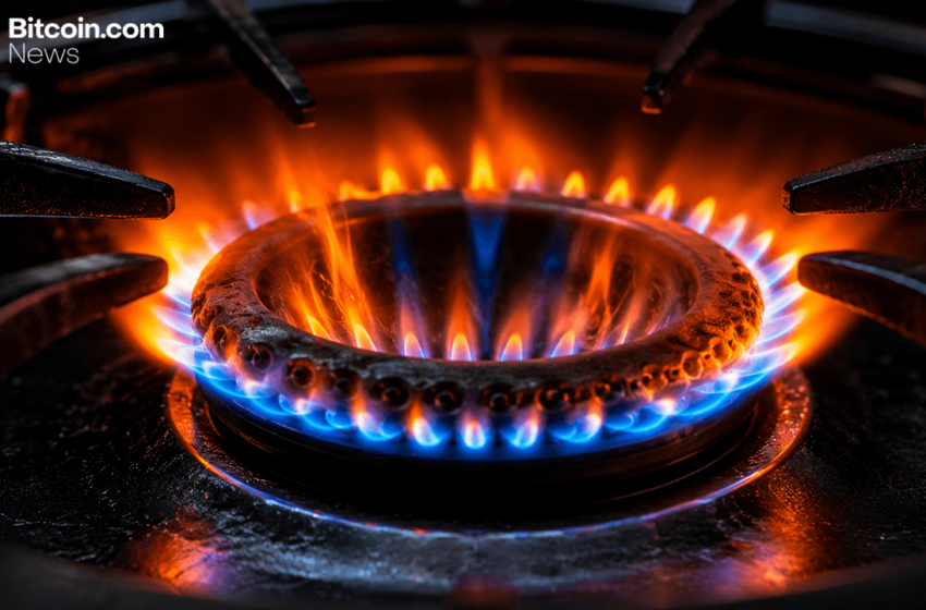  BTC Holds $80K While Momentum Starts Heating Up