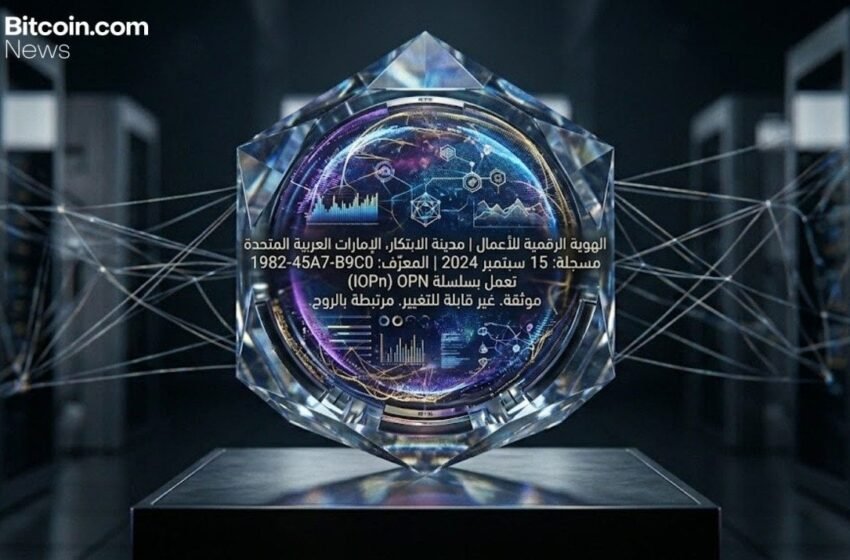  UAE’s Innovation City Launches Blockchain-Based IDs, Pushing Firms to Instant Checks