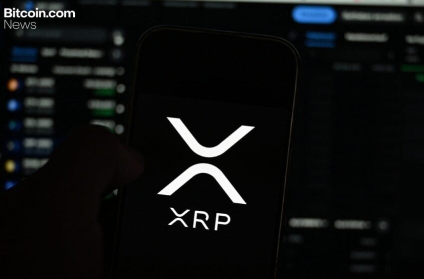  Canary Leads XRP ETF Gains as Bitcoin ETFs Lose $101M