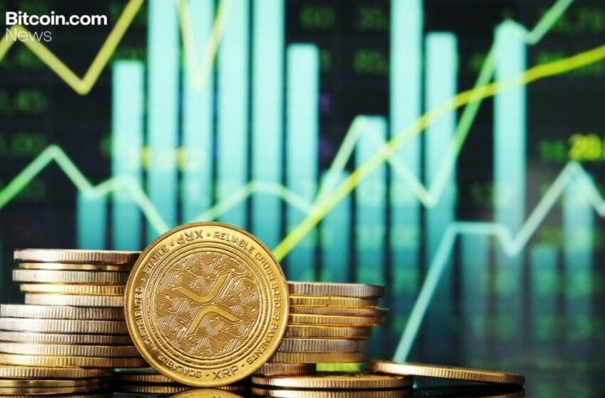  Canary XRP ETF Reports 213 Million XRP Holdings Worth $305 Million