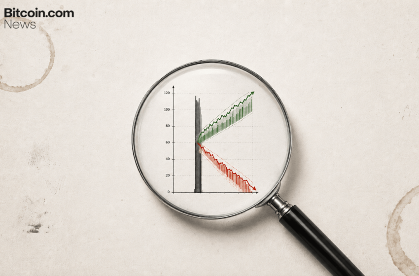  Clarity in a K-Shaped Economy