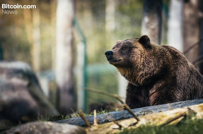  Cryptoquant’s Ki Young Ju Warns Bitcoin’s Bear Market Could Run Into Early 2027