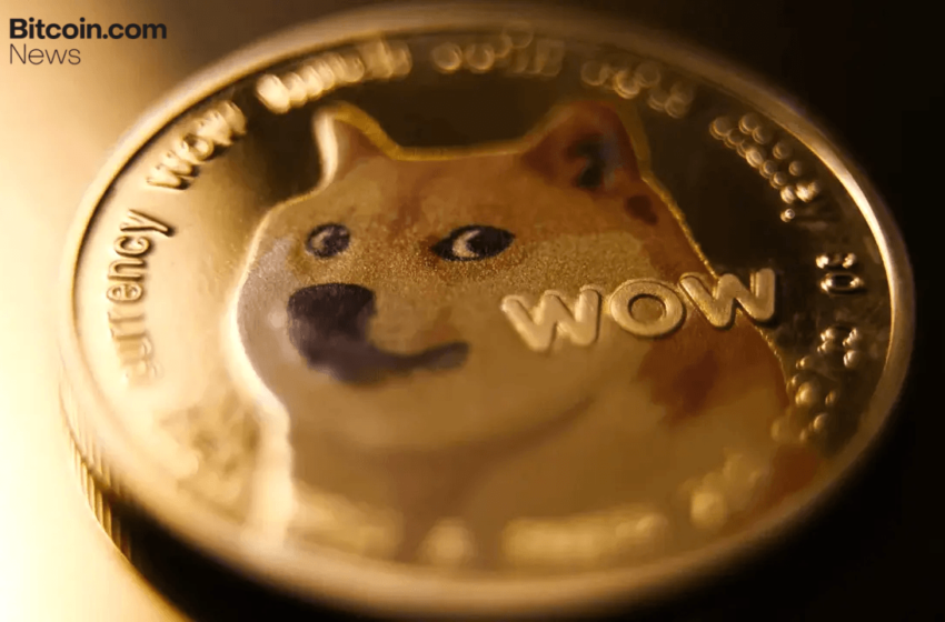  Dogecoin Whale Bets $2.25M With 10x Leverage as Big Wallets Hoard Record 108B DOGE