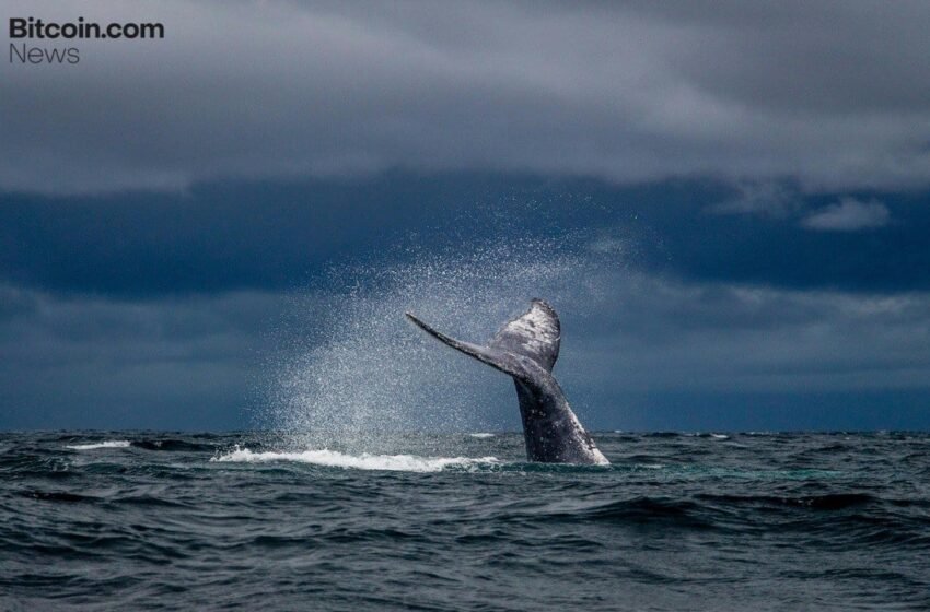  Ethereum Whale Dumps 20,000 ETH for $41.18M in a Single Hour as $2,000 Support Emerges