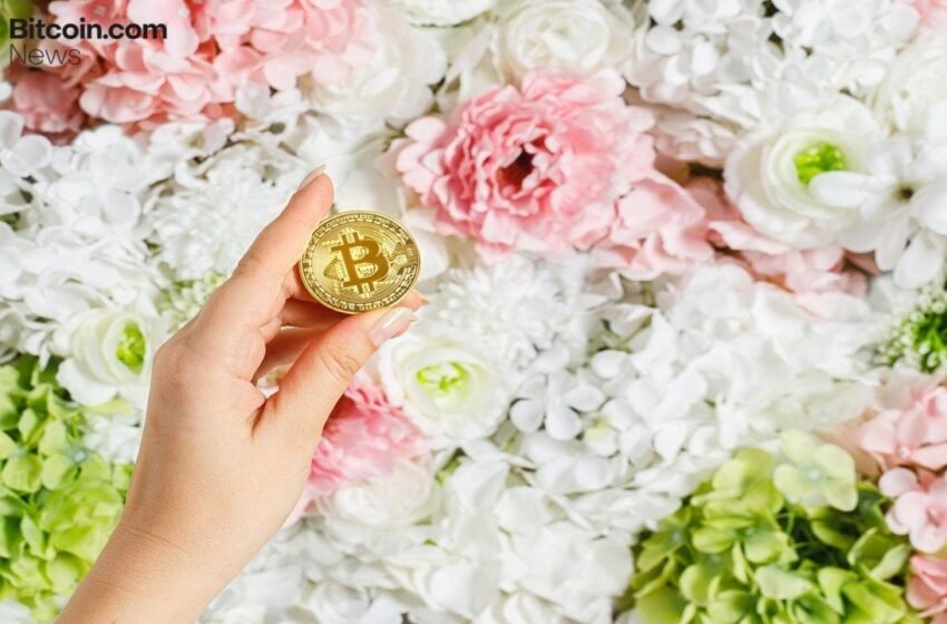  What Bitcoin Was Worth on Every Mother’s Day Since 2011
