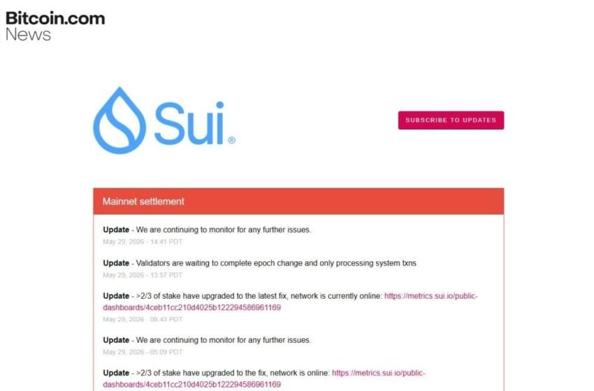  Sui Network Hits Third Transaction Halt in 48-Hour Outage Wave
