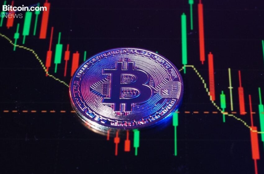  Bitcoin Bottom Unconfirmed as Peter Brandt Flags Bear Channel