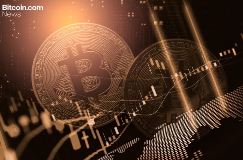  Strive Reports 15,009 Bitcoin, Zero Debt After Semler Merger and Note Buyback