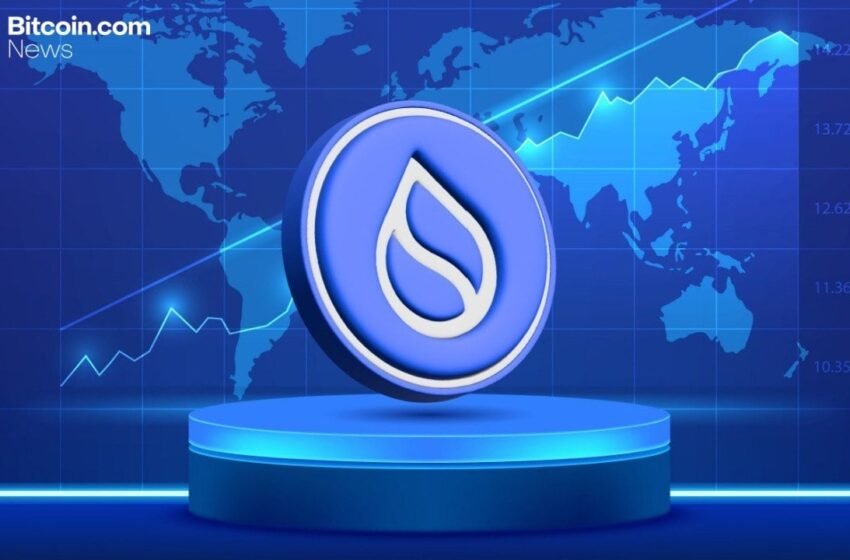  Sui Network Suffers 6-Hour Outage Following 1.72 Upgrade Bug