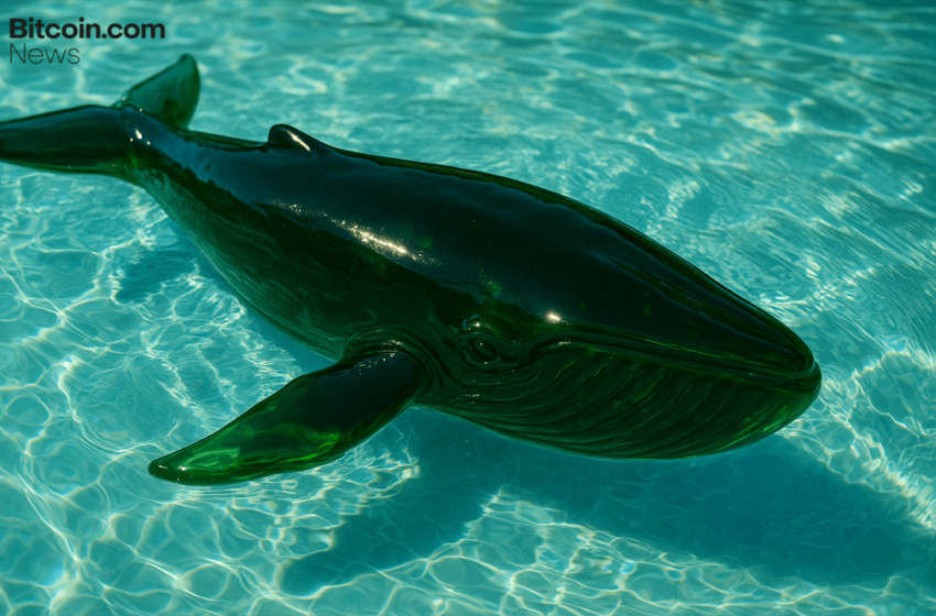  Whale Dumps $36M in HYPE to Shore Up $103M Short on Hyperliquid as Liquidation Risk Builds