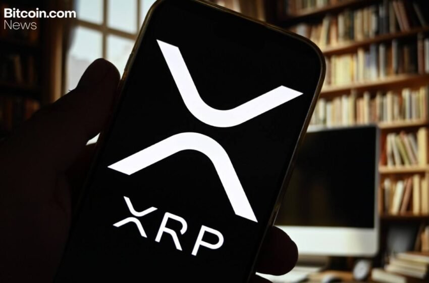 XRP Ledger Foundation Names Ripple’s David Schwartz Honorary Board Member