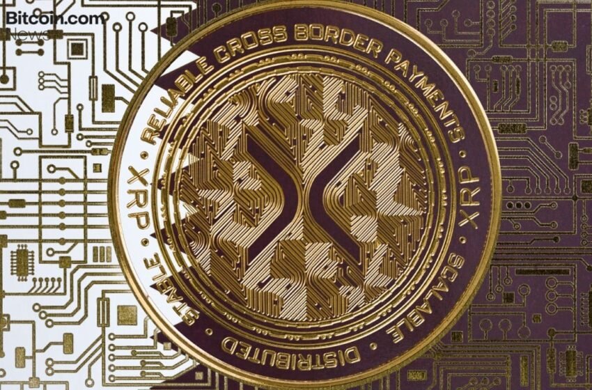  XRP Ledger Activity Jumps as Price Tests $1.55, Large Wallets Set Record