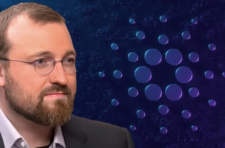  Cardano’s Hoskinson Says Disputed 1,096 Bitcoin Funded a 2016 Audit Amid $70 Million Mystery