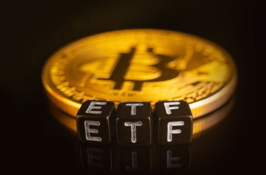  Bitcoin ETFs Lose $82M as Ark and Blackrock Reverse Prior Session Gains