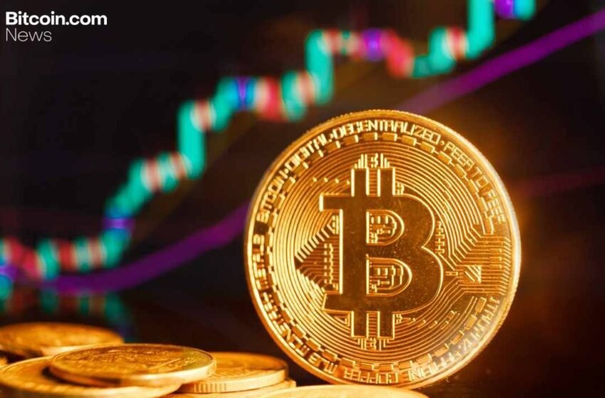  Bitcoin Whales Reverse 12-Day Slide as ‘Massive Supply Shock’ Emerges