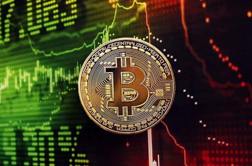  Bitcoin Sell-off Theory Points to Spacex, OpenAI, Anthropic IPO Mania Draining Crypto Cash