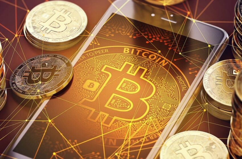  Top 100 Bitcoin Treasuries Now Hold 1.26M BTC