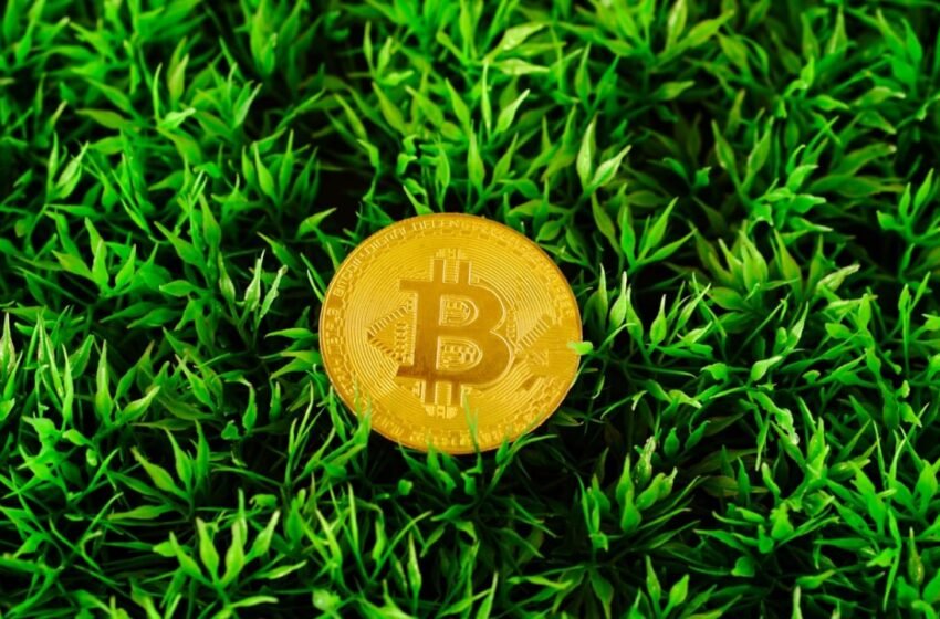  Standard Chartered Declares End of Crypto Winter