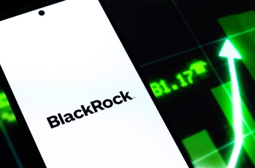  Blackrock Ends Bitcoin ETF Selloff as IBIT Pulls in $48M After 13 Red Days