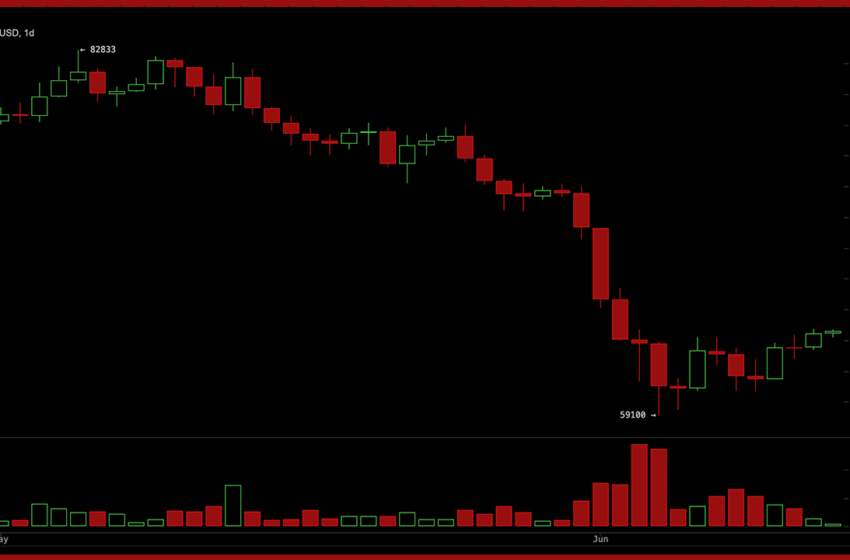  BTC Momentum Turns Positive as Bitcoin Fights to Hold the $64,000 Zone