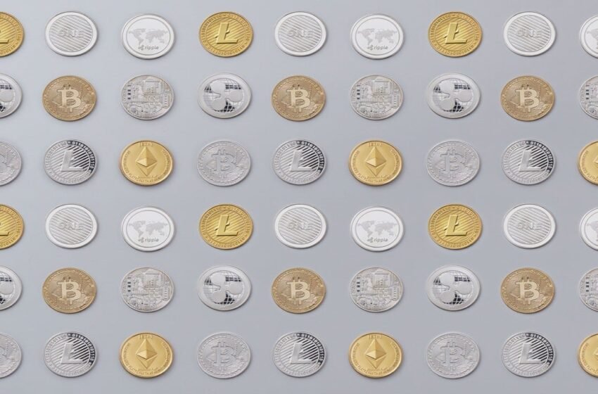  BTC-to-Altcoin Rotation Has Collapsed and the Alt-Season Era May Be Over