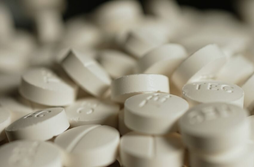  How a Fentanyl Smuggling Ring Defrauded Crypto Investors in Japan