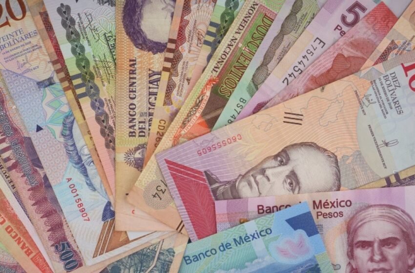  How the Network Processed $309 Million in Stablecoins Last Month