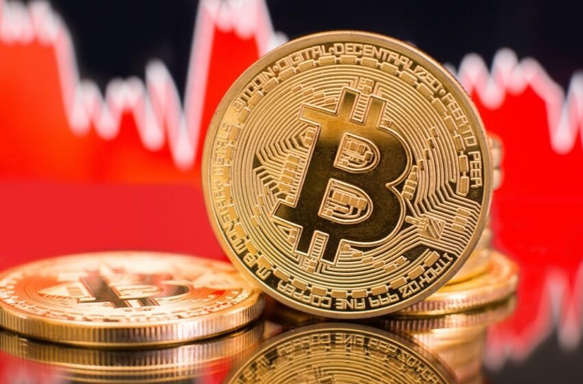  Bitcoiners Stand Firm Even if Bitcoin Crashes to $0