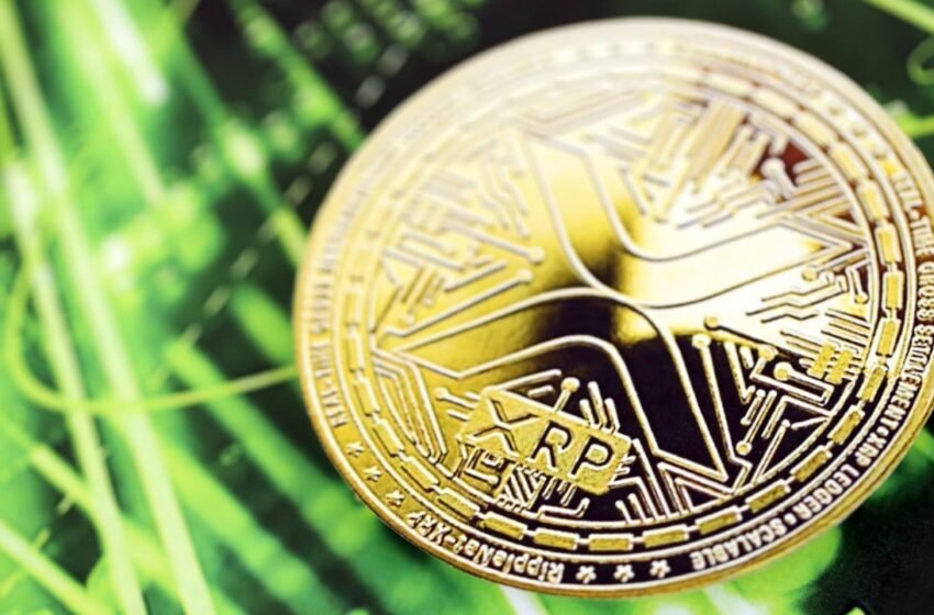  XRP Withdrawals Top 53% on Binance as Leveraged Bets Hit 2026 High