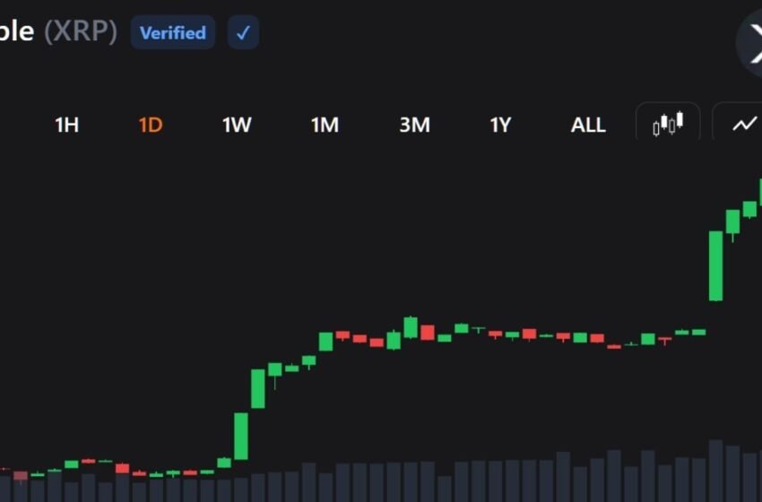  XRP Buyers Return as Rally Crushes Shorts and Lifts Momentum