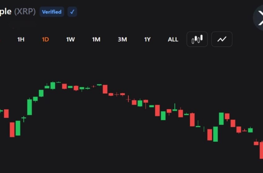  XRP Falls Sharply as Traders Brace for Deeper Crypto Sell-Off